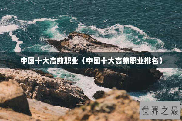 中国十大高薪职业(中国十大高薪职业排名) 中国十大高薪职业(中国十大高薪职业排名)
