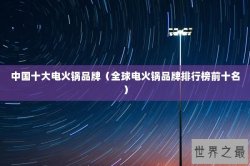 中国十大电火锅品牌（全球电火锅品牌排行榜前十名）
