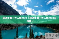 感动中国十大人物2020（感动中国十大人物2020毛相林）