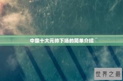 中国十大元帅下场的简单介绍