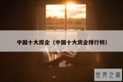 中国十大房企（中国十大房企排行榜）