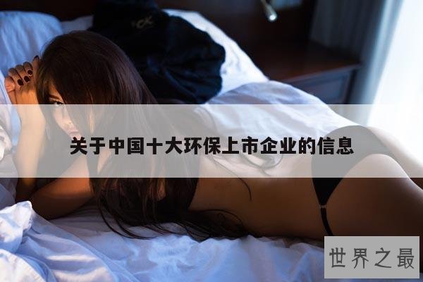 关于中国十大环保上市企业的信息