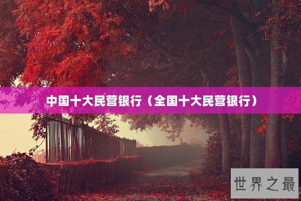 中国十大民营银行（全国十大民营银行）