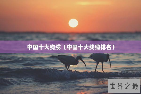 中国十大线缆（中国十大线缆排名）