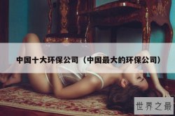 中国十大环保公司（中国最大的环保公司）