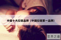 中国十大拉链品牌（中国拉链第一品牌）