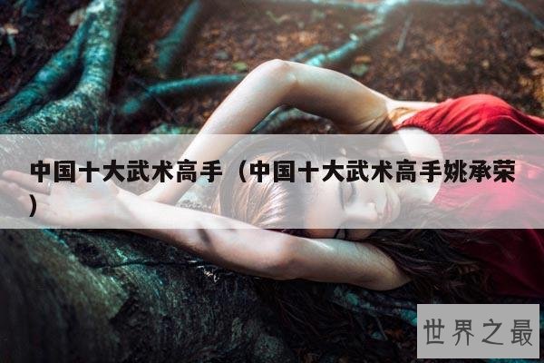 中国十大武术高手(中国十大武术高手姚承荣)