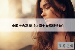 中国十大高楼（中国十大高楼造价）