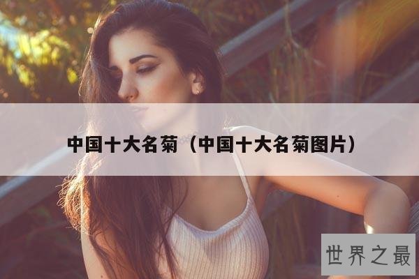 中国十大名菊(中国十大名菊图片)