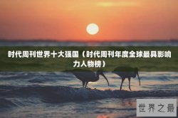 时代周刊世界十大强国（时代周刊年度全球最具影响力人物榜）