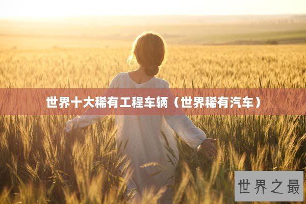 世界十大稀有工程车辆（世界稀有汽车）
