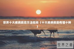 世界十大疾病救命方法视频（十大疾病救助有哪十种）