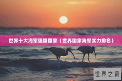 世界十大海军强国国家（世界国家海军实力排名）