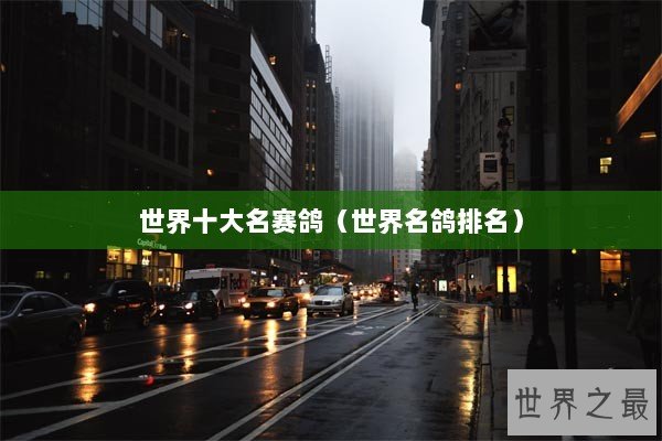 世界十大名赛鸽（世界名鸽排名）