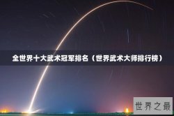 全世界十大武术冠军排名（世界武术大师排行榜）