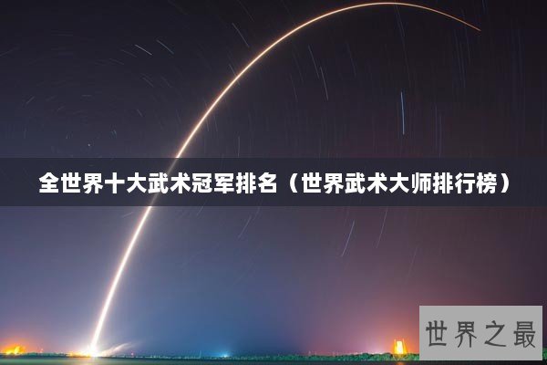 全世界十大武术冠军排名（世界武术大师排行榜）