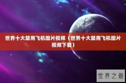 世界十大禁用飞机图片视频（世界十大禁用飞机图片视频下载）