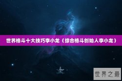 世界格斗十大技巧李小龙（综合格斗创始人李小龙）