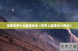 鸟瞰世界十大最美鸟屿（世界上最美的20种鸟）