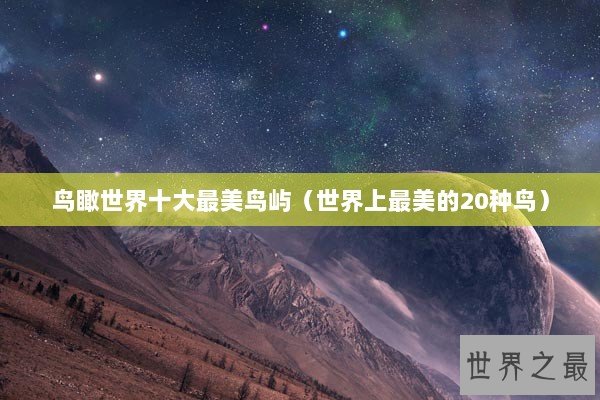 鸟瞰世界十大最美鸟屿（世界上最美的20种鸟）