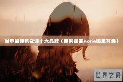 世界最便携空调十大品牌（便携空调noria哪里有卖）