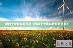 世界十大步兵枪排名（世界十大步兵枪排名图片）