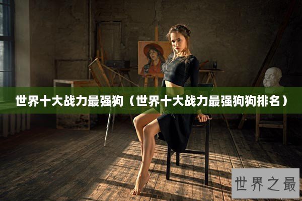 世界十大战力最强狗(世界十大战力最强狗狗排名) 世界十大战力最强狗(世界十大战力最强狗狗排名)