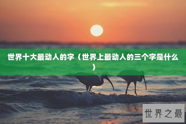 世界十大最动人的字（世界上最动人的三个字是什么）