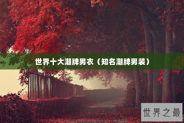 世界十大潮牌男衣（知名潮牌男装）