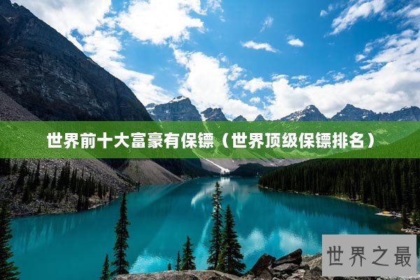 世界前十大富豪有保镖（世界顶级保镖排名）