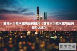 世界十大技术成功案例图片（世界十大技术成功案例图片大全）