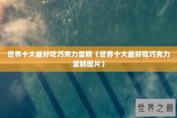 世界十大最好吃巧克力蛋糕（世界十大最好吃巧克力蛋糕图片）