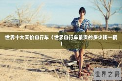 世界十大天价自行车（世界自行车最贵的多少钱一辆）