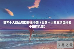世界十大商业项目排名中国（世界十大商业项目排名中国有几家）