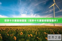 世界十大重量级国宝（世界十大重量级国宝图片）