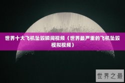 世界十大飞机坠毁瞬间视频（世界最严重的飞机坠毁模拟视频）