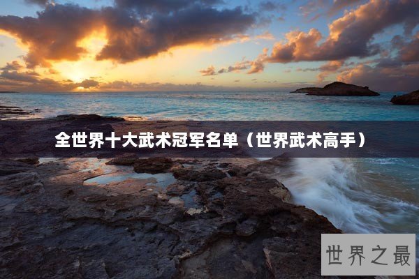 全世界十大武术冠军名单(世界武术高手) 全世界十大武术冠军名单(世界武术高手)