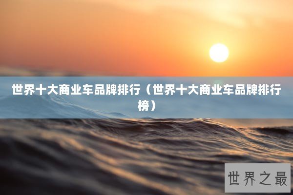 世界十大商业车品牌排行（世界十大商业车品牌排行榜）
