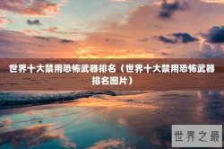 世界十大禁用恐怖武器排名（世界十大禁用恐怖武器排名图片）