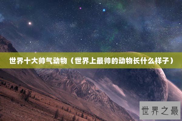 世界十大帅气动物（世界上最帅的动物长什么样子）