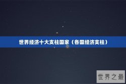 世界经济十大支柱国家（各国经济支柱）