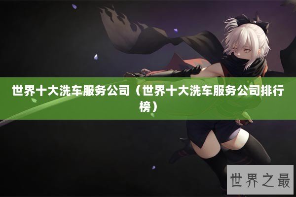 世界十大洗车服务公司（世界十大洗车服务公司排行榜）