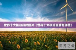 世界十大机油品牌图片（世界十大机油品牌有哪些）