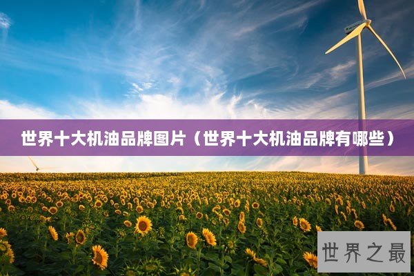 世界十大机油品牌图片（世界十大机油品牌有哪些）