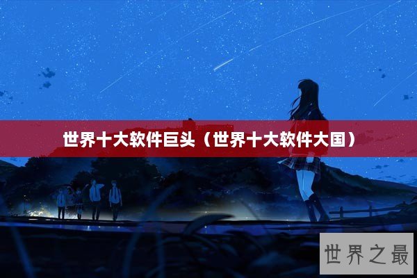 世界十大软件巨头（世界十大软件大国）