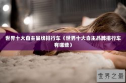 世界十大自主品牌排行车（世界十大自主品牌排行车有哪些）