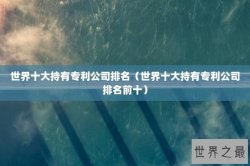 世界十大持有专利公司排名（世界十大持有专利公司排名前十）