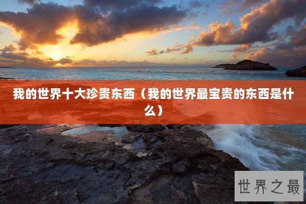 我的世界十大珍贵东西（我的世界最宝贵的东西是什么）