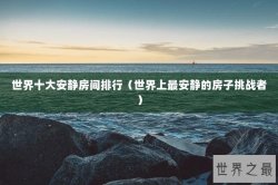 世界十大安静房间排行（世界上最安静的房子挑战者）