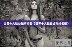 世界十大硅谷城市排名（世界十大硅谷城市排名榜）